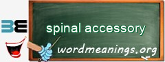 WordMeaning blackboard for spinal accessory